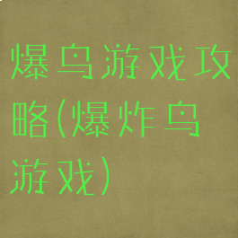 爆鸟游戏攻略(爆炸鸟游戏)
