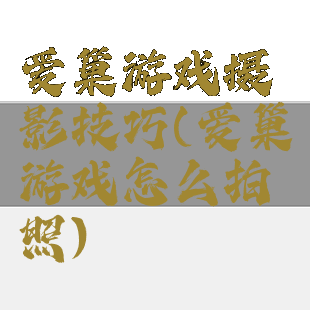 爱巢游戏摄影技巧(爱巢游戏怎么拍照)