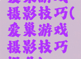 爱巢游戏摄影技巧(爱巢游戏摄影技巧提升)