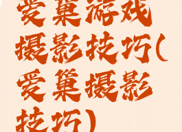 爱巢游戏摄影技巧(爱巢摄影技巧)