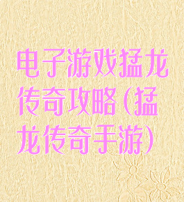 电子游戏猛龙传奇攻略(猛龙传奇手游)