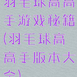 羽毛球高高手游戏秘籍(羽毛球高高手版本大全)