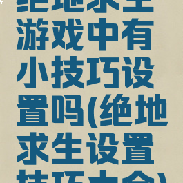 绝地求生游戏中有小技巧设置吗(绝地求生设置技巧大全)