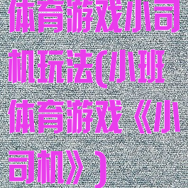 体育游戏小司机玩法(小班体育游戏《小司机》)