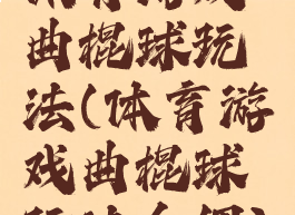 体育游戏曲棍球玩法(体育游戏曲棍球玩法介绍)