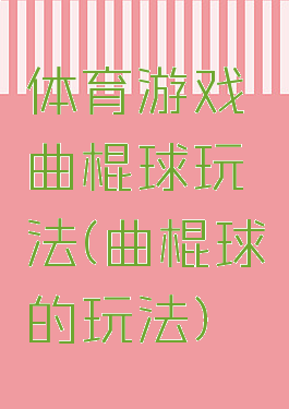体育游戏曲棍球玩法(曲棍球的玩法)
