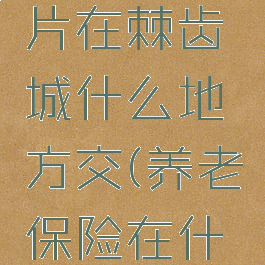发光的碎片在棘齿城什么地方交(养老保险在什么地方交)