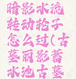 古墓丽影暗影水流转动轮子怎么过(古墓丽影蓄水池古墓怎么过)