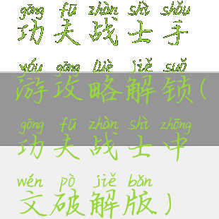 功夫战士手游攻略解锁(功夫战士中文破解版)