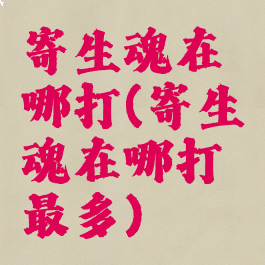 寄生魂在哪打(寄生魂在哪打最多)
