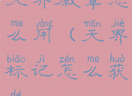 天界徽章怎么用(天界标记怎么获得)