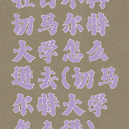 往日不再切马尔特大学怎么进去(切马尔特大学怎么进)