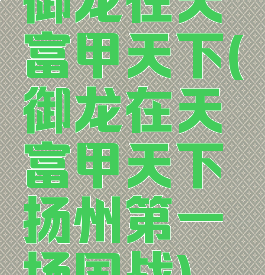 御龙在天富甲天下(御龙在天富甲天下扬州第一场国战)