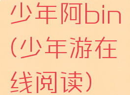 少年阿bin(少年游在线阅读)