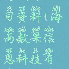 广州数果游戏有限公司资料(海南数果信息科技有限公司游戏)