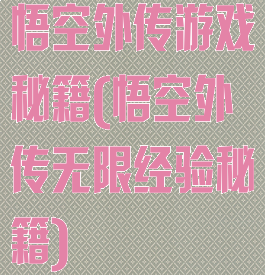悟空外传游戏秘籍(悟空外传无限经验秘籍)