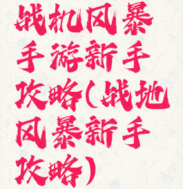 战机风暴手游新手攻略(战地风暴新手攻略)