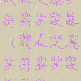 战机风暴手游新手攻略(战机风暴手游新手攻略图文)
