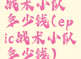 战术小队多少钱(epic战术小队多少钱)