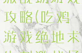 手机吃鸡刺激战场游戏攻略(吃鸡游戏绝地求生刺激战场)