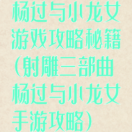 杨过与小龙女游戏攻略秘籍(射雕三部曲杨过与小龙女手游攻略)