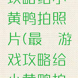 最囧游戏攻略给小黄鸭拍照片(最囧游戏攻略给小黄鸭拍照片视频)