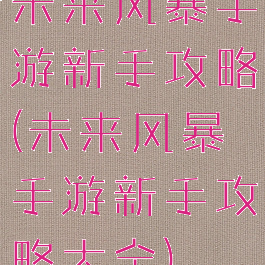 未来风暴手游新手攻略(未来风暴手游新手攻略大全)