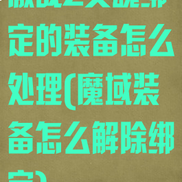 激战2灵魂绑定的装备怎么处理(魔域装备怎么解除绑定)