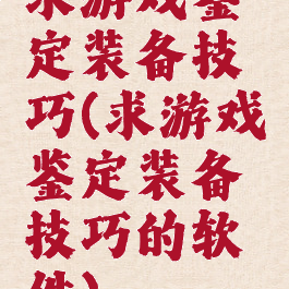 求游戏鉴定装备技巧(求游戏鉴定装备技巧的软件)