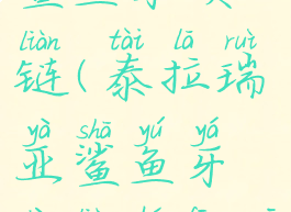 泰拉瑞亚鲨鱼牙项链(泰拉瑞亚鲨鱼牙项链和蜂窝)