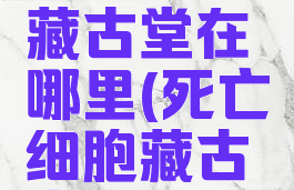 流放之路藏古堂在哪里(死亡细胞藏古堂)