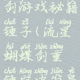 流星蝴蝶剑游戏秘籍锤子(流星蝴蝶剑重锤空中简易必杀)
