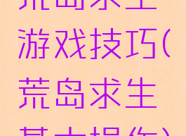 荒岛求生游戏技巧(荒岛求生基本操作)