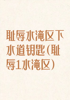 耻辱水淹区下水道钥匙(耻辱1水淹区)