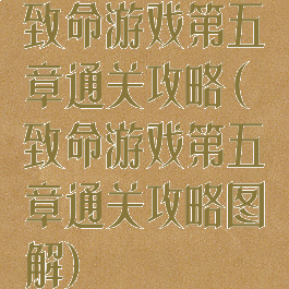 致命游戏第五章通关攻略(致命游戏第五章通关攻略图解)