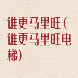 谁更马里旺(谁更马里旺电梯)