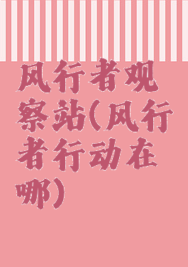 风行者观察站(风行者行动在哪)