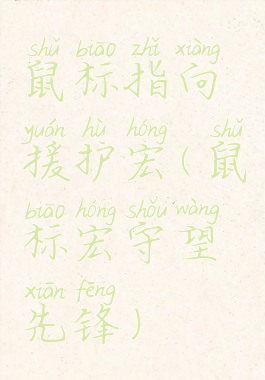 鼠标指向援护宏(鼠标宏守望先锋)