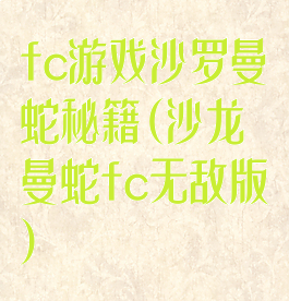 fc游戏沙罗曼蛇秘籍(沙龙曼蛇fc无敌版)